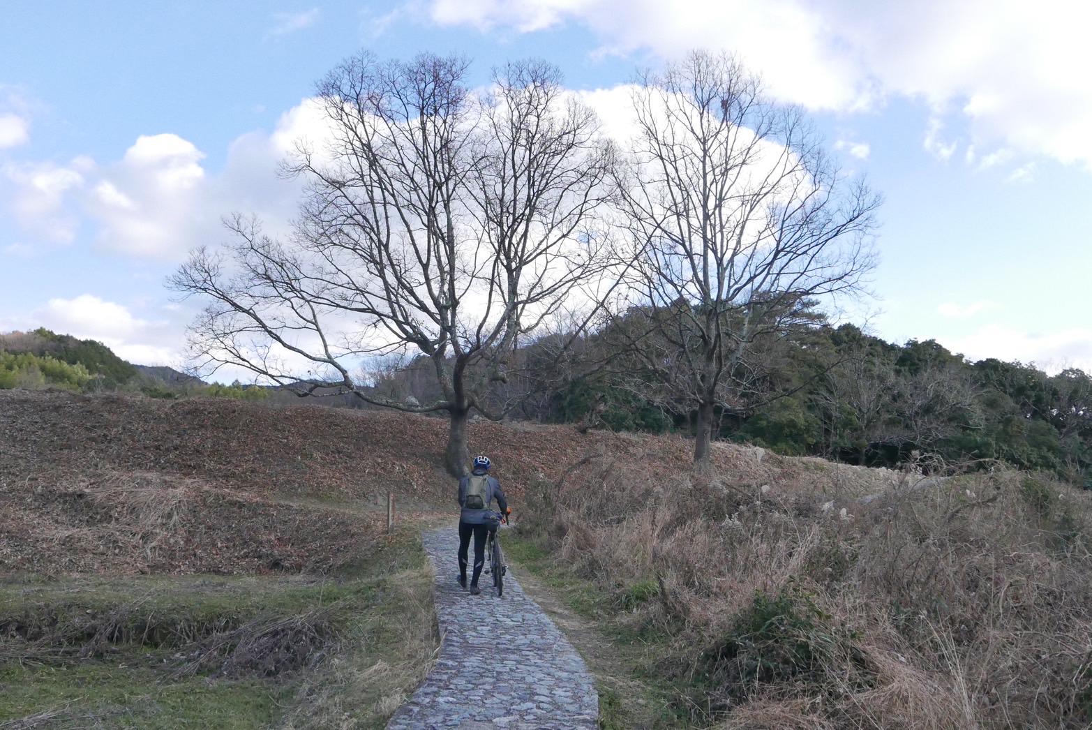 旧街道じてんしゃ旅 -大和盆地の旧街道- その1［3/9］